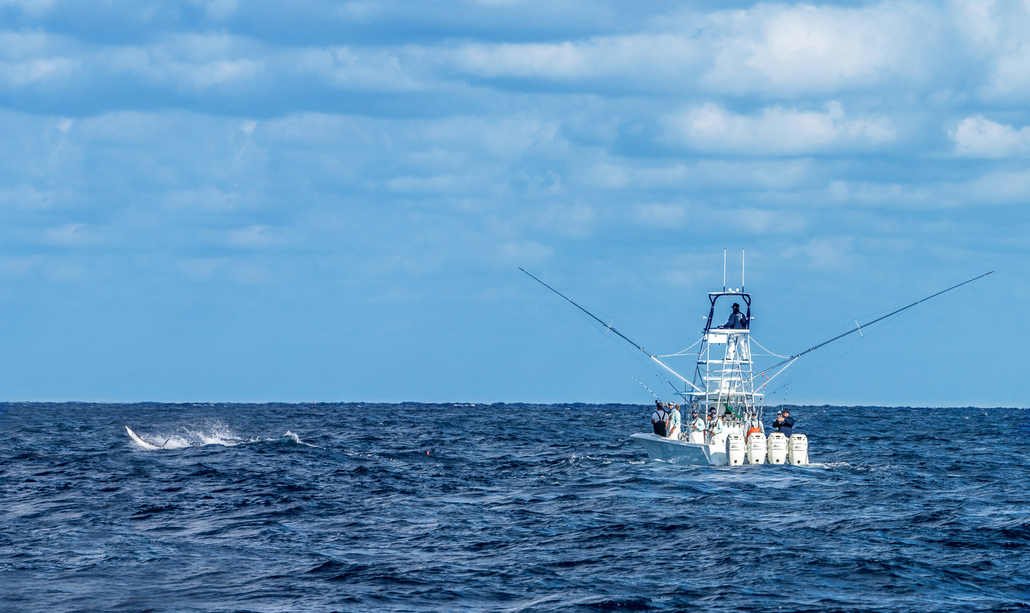A Beginner's Guide to Sportfishing Outriggers: Tips and Techniques for Trolling Success
